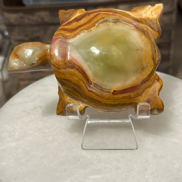 Onyx turtle 🐢 - Picture 3 of 3